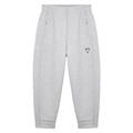 Palau Icon 7/8 pant GRY S Bukse - Dame